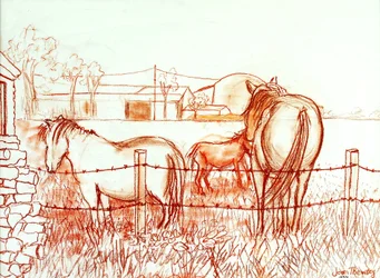 Serenata, Janie e un asino nel prato, 2000