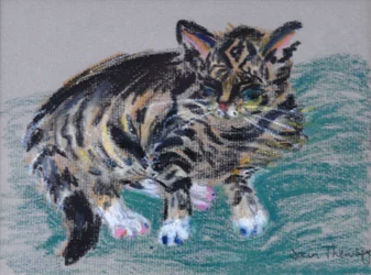 Gatto tigrato, 2005