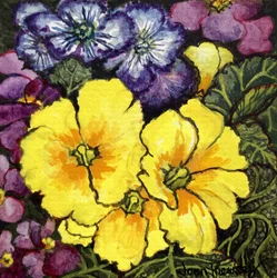 Tre primule gialle circondate da primule malva e viola e foglie