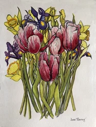 Tulipani, narcisi e iris
