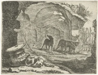 Quattro cani presso una rovina