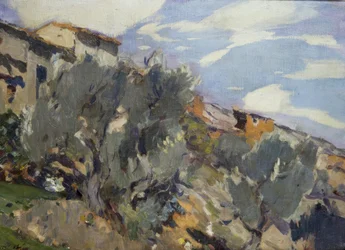 Villaggio, aranceto