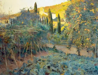 Il giardino dell
