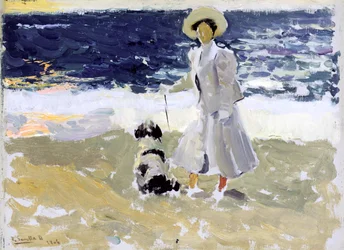 Signora e cane sulla spiaggia