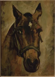 Testa di cavallo