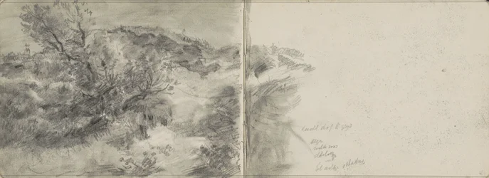 Paesaggio dunale