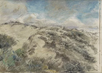 Paesaggio dunale