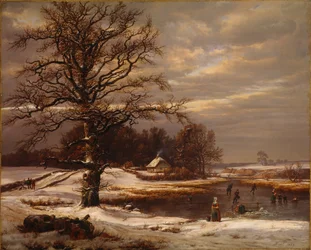 Paesaggio invernale danese