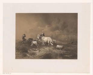 Pastore con gregge in una tempesta