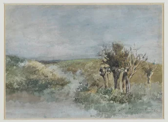 Paesaggio con salici lungo un fossato