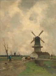 Il mulino