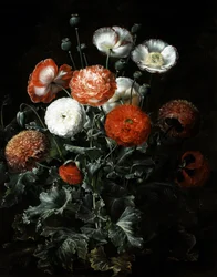 Papaveri esotici. Dipinto di Johan Laurentz Jensen (1800-1856) Collezione privata.