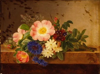Fiori selvatici, fiordalisi e altri fiori su un cornicione
