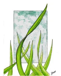 Crescita verde fresca