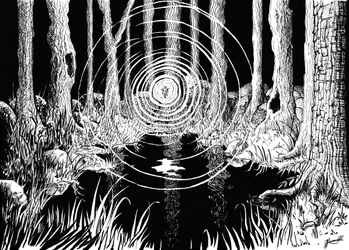 Le increspature della foresta mistica