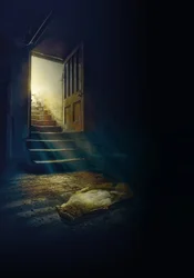 Tutte le porte aperte non sono libertà