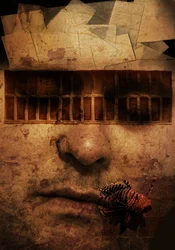 Sogno, 2018