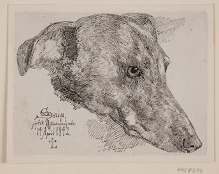 Danese: Hundehoved, Snip