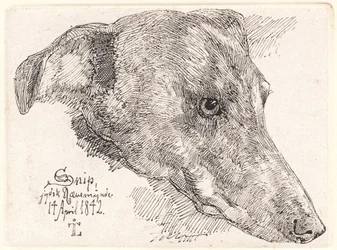 Danese: Hundehoved, Snip