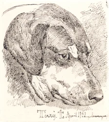 Danese: Testa di cane, Terry
