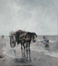 Brezze marine