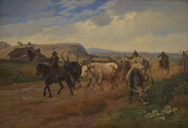 Una mandria di buoi nella Campagna Romana