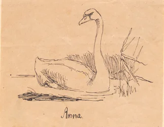 Una cigno