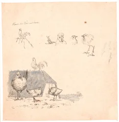 Pulcini di gallo. Illustrazione per “Fabler for Børn” di Kaalund. Vedi commento del catalogo d