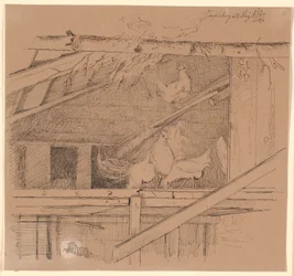 Galline in un loft