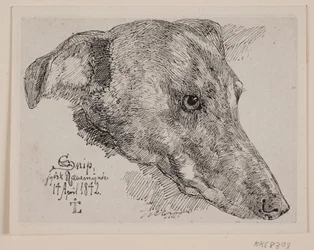 Testa di cane, Snip