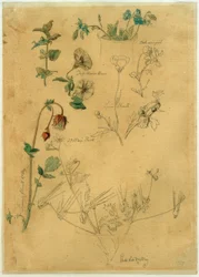 J. Th. Lundbye, Studio di piante
