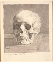 Cranio, visto di fronte