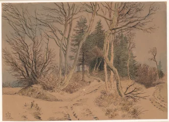Strade innevate tra abeti e alberi spogli