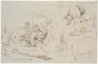 Studieblad fra Vognserup. T. v. en røgter (gamle Rasmus Larsen) siddende med en hund ved et led. F.o.t.h. et landskabsstudie med stedbetegnelser. Herunder to grise. T.h.m.f. studie af siv i en sø. Herunder en kongelysplante og studie af en so