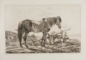 Cavallo accanto a un aratro
