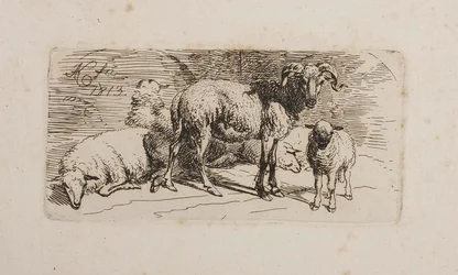 Un ariete, tre pecore e un agnello
