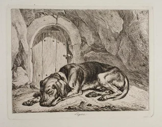 Il cane Legere