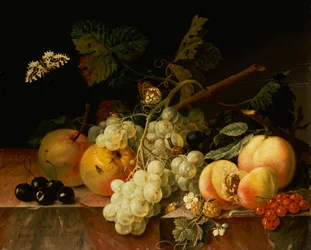 Frutta su un bordo di marmo con farfalle, lumaca e bruco
