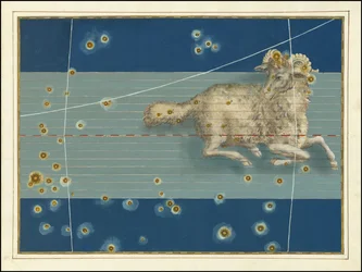 Ariete - Johann Bayer