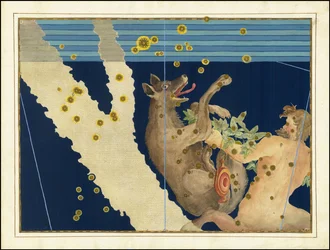 Johann Bayer, Lupus e Centaurus