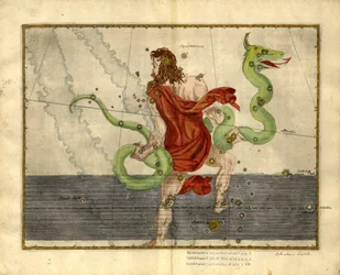 Ofiuco, il serpente-serpente, da "Uranometria".