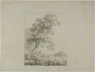 Paesaggio con un grande albero