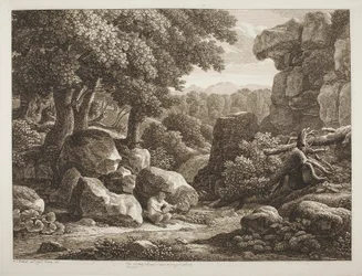Paesaggio forestale
