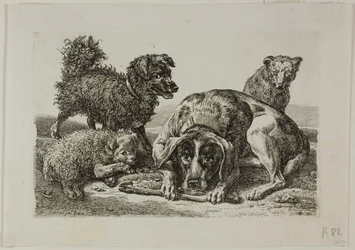 Quattro cani, da Die Zweite Thierfolge