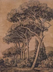 J C Reinhart Pini a ombrello 1791