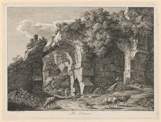 Paesaggio - Nel Colosseo