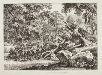 Scena boschiva con quercia spezzata