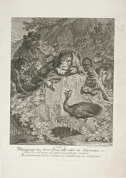 Favola V, tavola cinque da Lehrreiche Fabeln aus dem Reiche der Theire