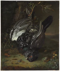 Un gallo forcello in un paesaggio boscoso, 1747