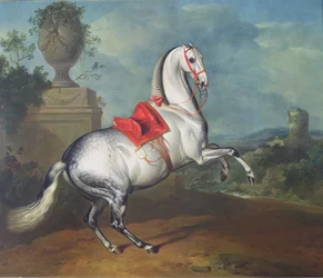 Il Grigio Pomellato al Galoppo